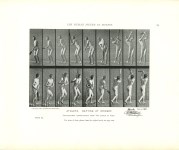 Lot #1548: EADWEARD MUYBRIDGE - Athlete: Batting at Cricket - Original photomezzotint & letterpress