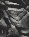 Lot #523: ANSEL ADAMS - Rocks and Limpets, Point Lobos, California - Original vintage photogravure