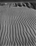 Lot #1688: ANSEL ADAMS - Sand Dunes, Oceano, California - Original photogravure