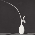 Lot #1015: ROBERT MAPPLETHORPE - Orchid and Leaf in White Vase - Original vintage photogravure