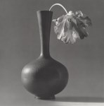 Lot #268: ROBERT MAPPLETHORPE - Parrot Tulip in a Black Vase - Original vintage photogravure