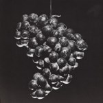 Lot #239: ROBERT MAPPLETHORPE - Grapes - Original vintage photogravure