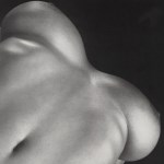 Lot #1810: ROBERT MAPPLETHORPE - Breasts - Original vintage photogravure