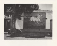 Lot #1239: MANUEL ALVAREZ BRAVO - Paisaje y Galope (Paisaje de Equitacion) - Original photogravure