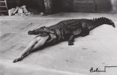 Lot #136: HELMUT NEWTON - Crocodile Eating Ballerina (Scene from Pina Bausch's Ballet 