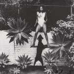 Lot #2020: HELMUT NEWTON - Raquel Welch in Her Backyard, Beverly Hills - Original photolithograph