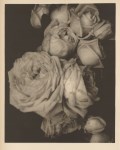 Lot #269: EDWARD STEICHEN - Heavy Roses - Original warm-toned photogravure