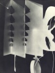 Lot #2454: MAN RAY - Rayograph - 088 - Original vintage photogravure